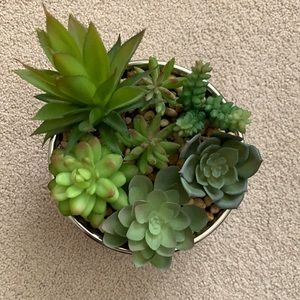 Fake Succulent Plant